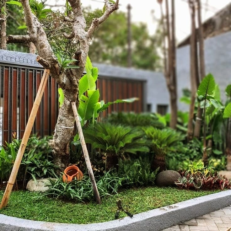 Tips Perawatan Taman