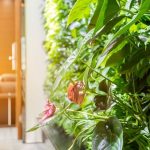 Inspirasi Taman Vertikal di Ruang Terbatas