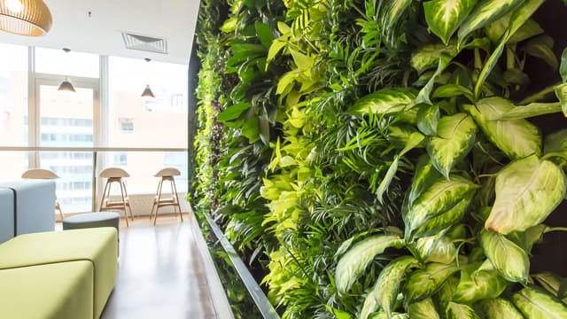 Inspirasi Taman Vertikal di Ruang Terbatas