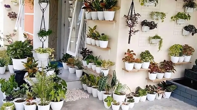 Inspirasi Taman Vertikal di Ruang Terbatas