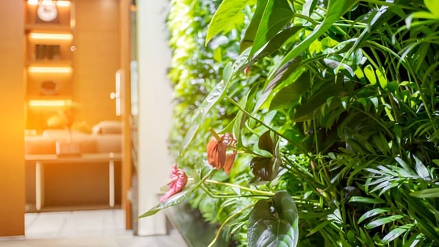 Inspirasi Taman Vertikal di Ruang Terbatas