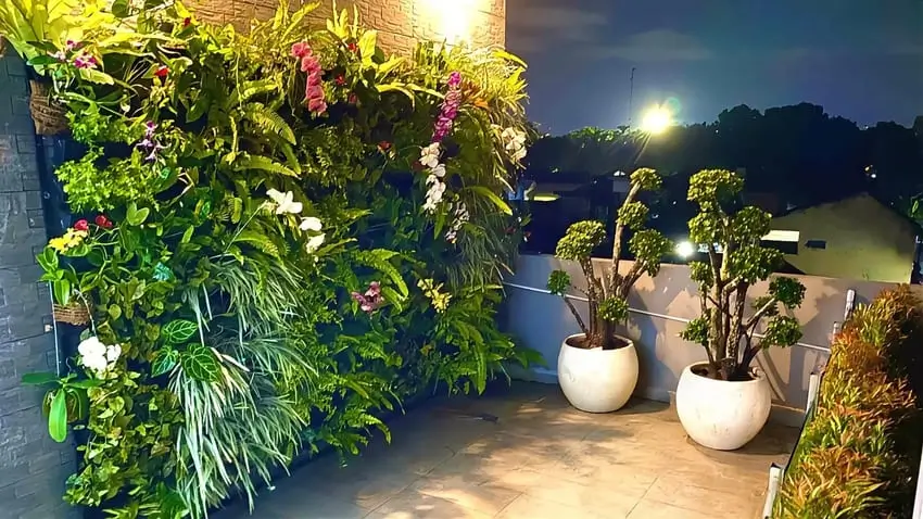 Langkah-Langkah Pembuatan Vertical Garden