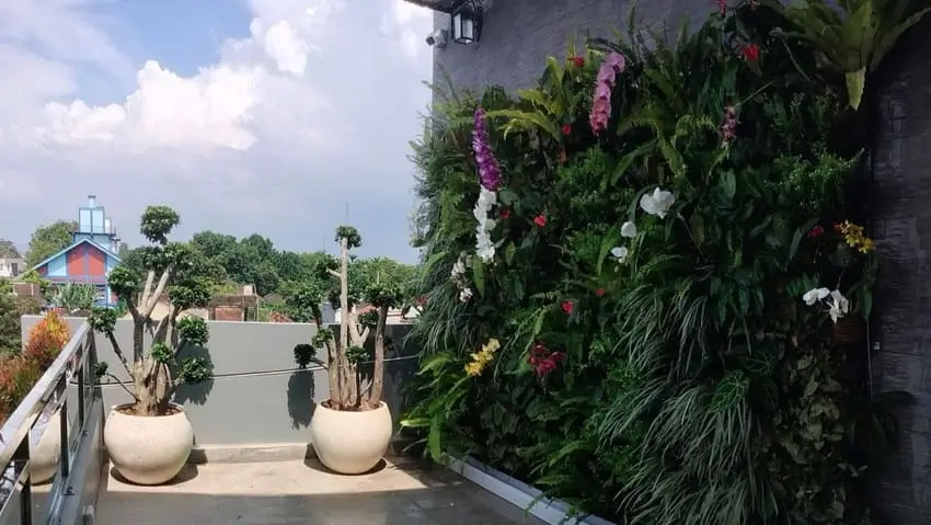Langkah-Langkah Pembuatan Vertical Garden