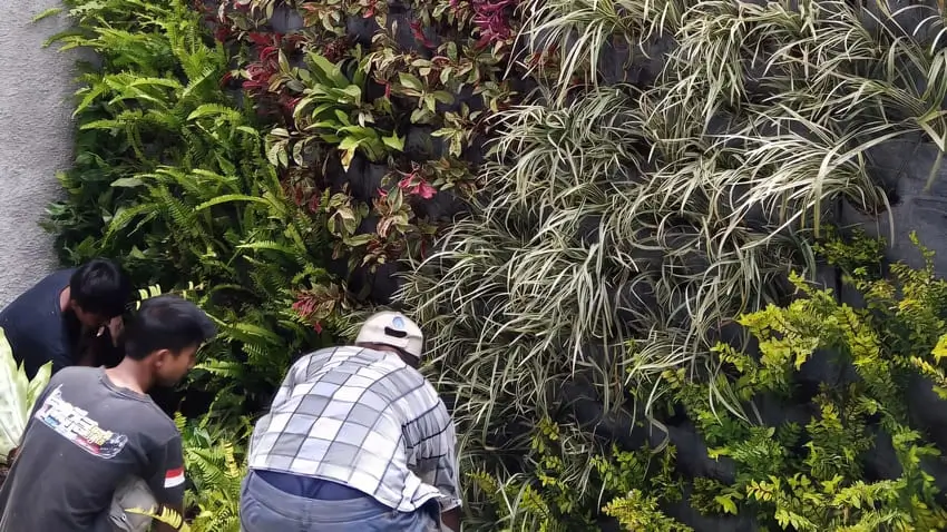 Langkah-Langkah Pembuatan Vertical Garden
