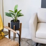 Tanaman Hias Paling Favorit Tahun Ini