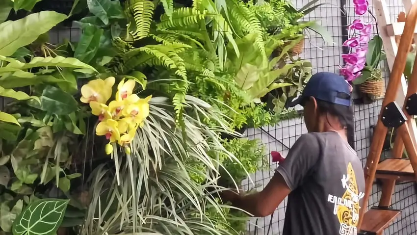Tips Membuat Taman Vertikal di Ruang Terbatas