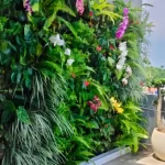 Apa Itu Vertical Garden