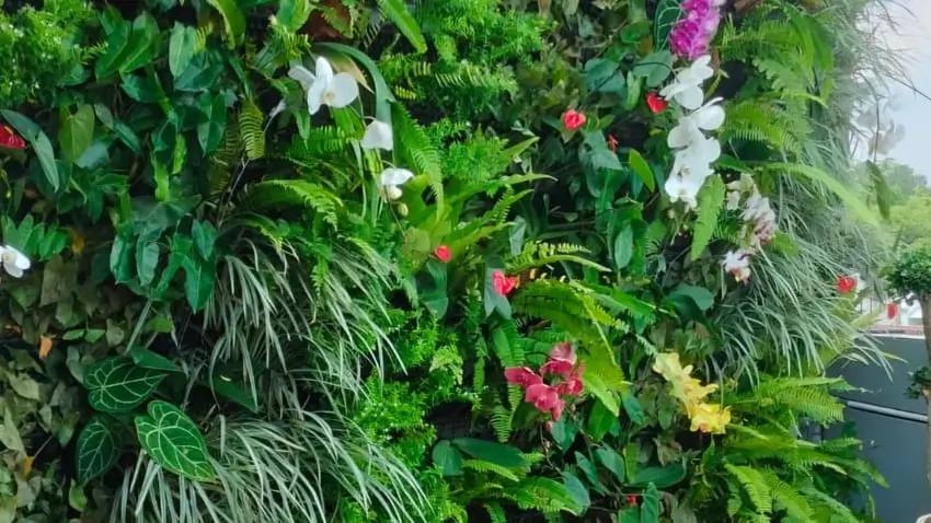 Apa Itu Vertical Garden