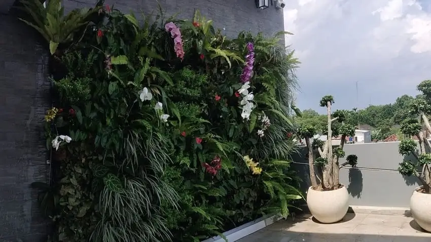 Apa Itu Vertical Garden