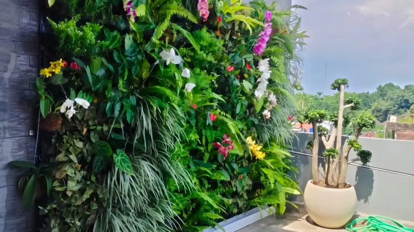 Apa Itu Vertical Garden