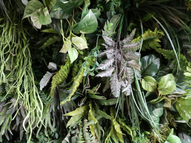 Jenis Tanaman Vertical Garden