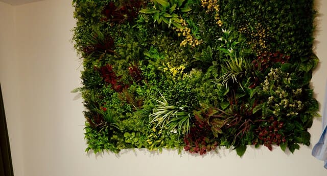 Manfaat Taman Vertikal untuk Ruang Terbatas