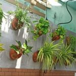 Material dan Tanaman untuk Taman Vertikal