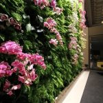 Rekomendasi Tanaman Bunga untuk Vertical Garden