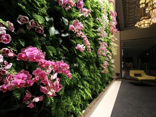 Rekomendasi Tanaman Bunga untuk Vertical Garden