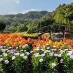 Taman Bunga Terindah di Dunia