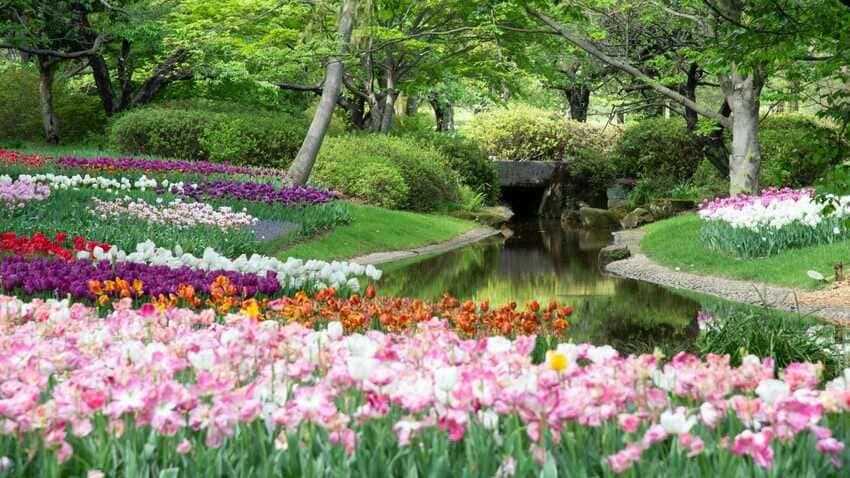Taman Bunga Terindah di Dunia
