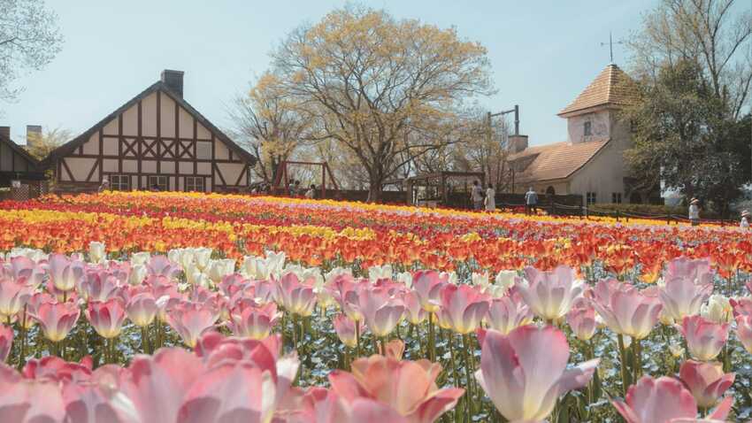 Taman Bunga Terindah di Dunia