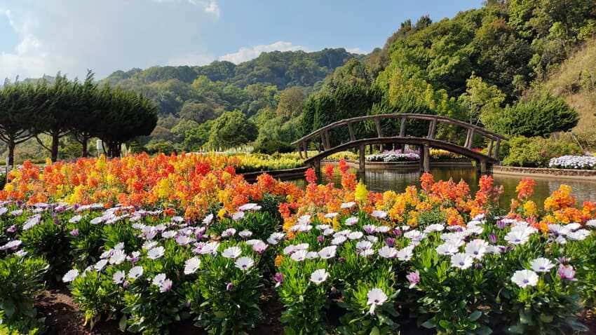 Taman Bunga Terindah di Dunia
