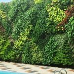 Tanaman Vertical Garden Mudah Tumbuh dan Adaptif