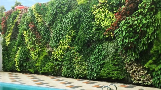 Tanaman Vertical Garden Mudah Tumbuh dan Adaptif