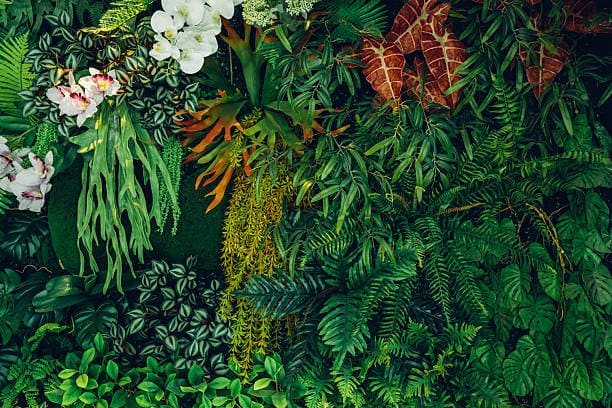 Vertical Garden Artificial