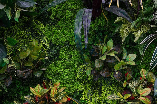 Vertical Garden Artificial