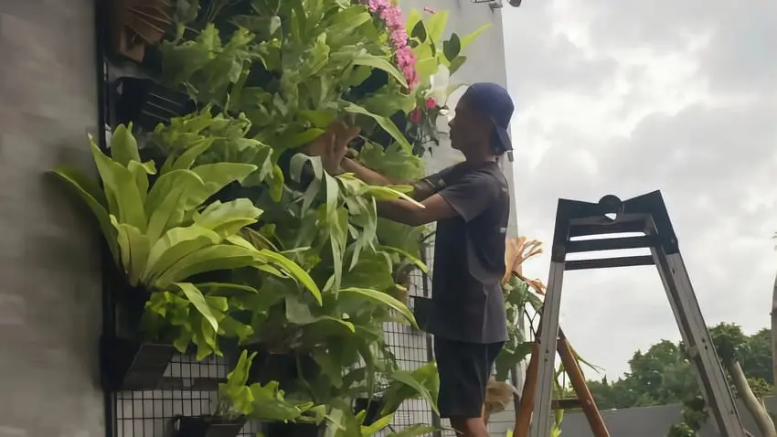 Vertical Garden Indonesia