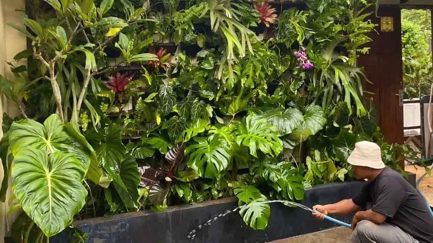 Vertical Garden Indonesia