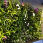 Vertical Garden Jogja