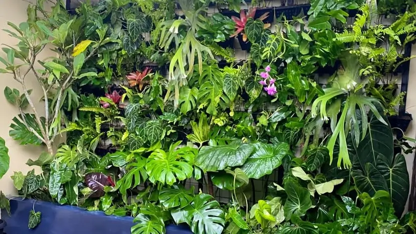 Vertical Garden Jogja