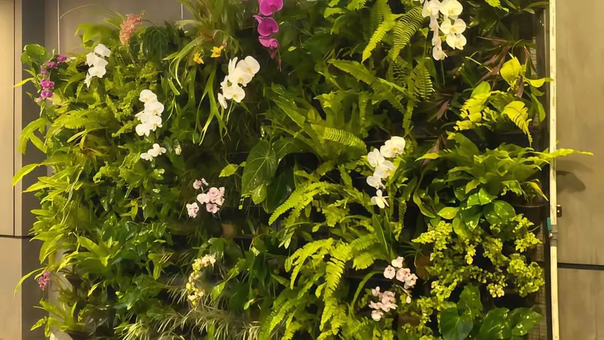 Vertical Garden Jogja