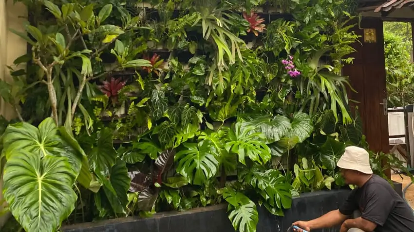 Vertical Garden Jogja