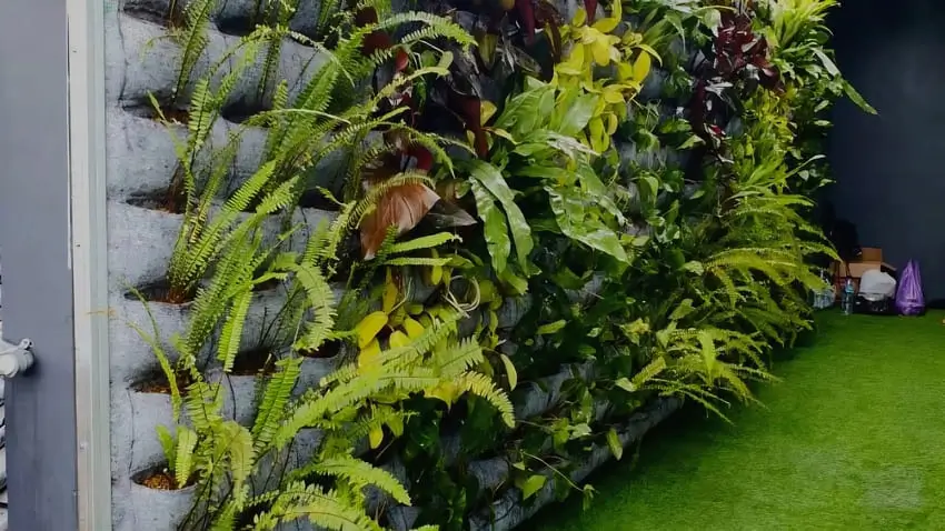 Vertical Garden Jogja