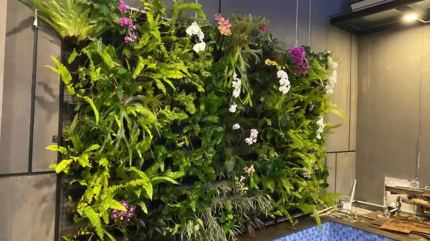 Vertical Garden Jogja