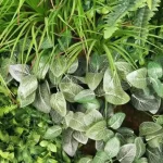 Vertical Garden Sintetis