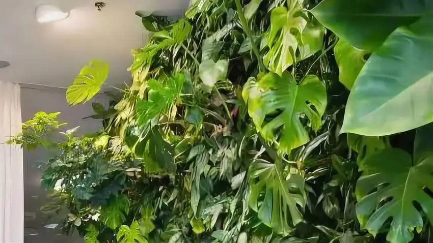 Vertical Garden Sintetis