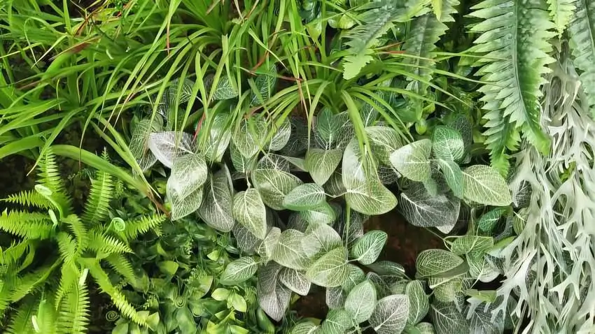 Vertical Garden Sintetis